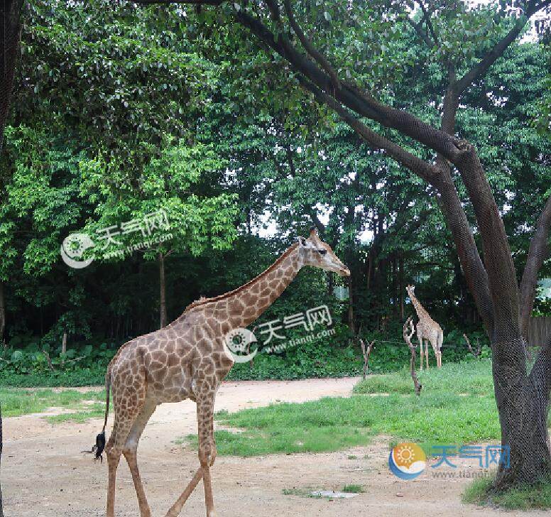 2020暑假廣州親子游玩攻略 暑期廣州親子游玩景點推薦