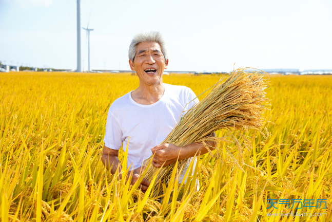 五一劳动节的由来 劳动节的由来简短