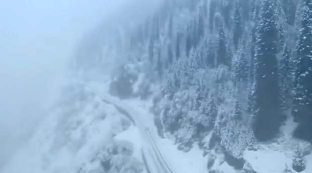 新疆多地普降大雪！“胡天八月即飞雪”成因何在？