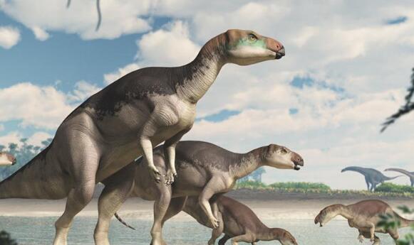 英国新研究:小行星撞击地球是恐龙灭绝主因