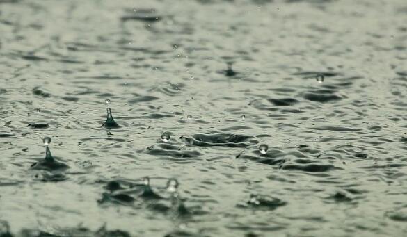 湖北今明多地大到暴雨 预计7月4-8日有持续性强降雨