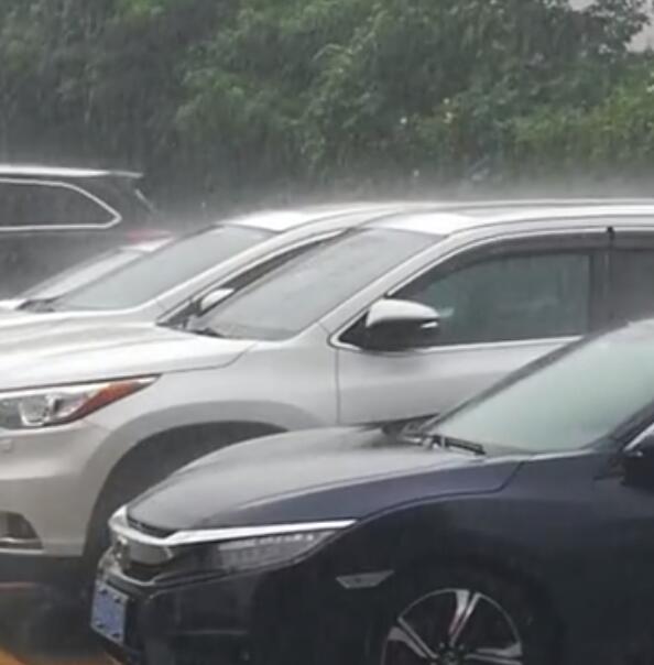 重庆未来三天多地有大到暴雨 最高气温难超32℃