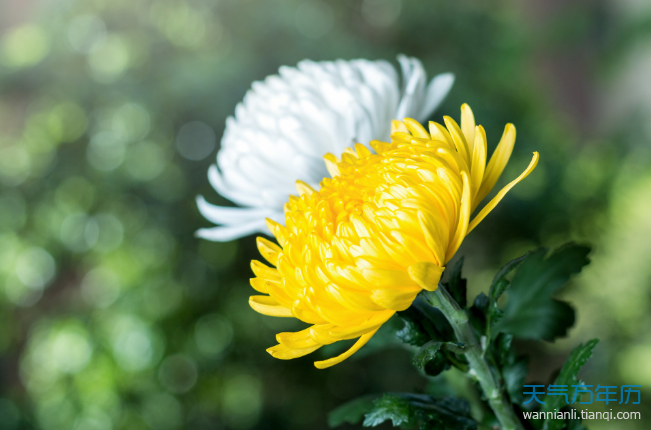 清明节的意义 清明节的重要意义是什么（图）