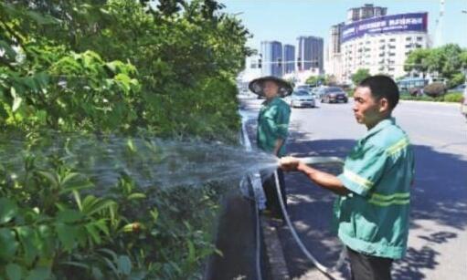 湖南发布高温黄色预警 多地37℃以上防暑降温很重要