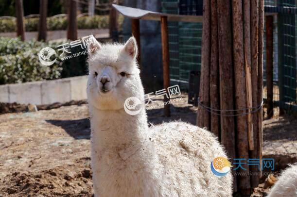 7月份带孩子去哪里旅游最好 七月份适合带孩子去玩的地方