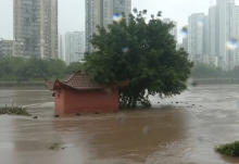 暴雨席卷重庆6个区县  荣昌濑溪河水位超警戒线