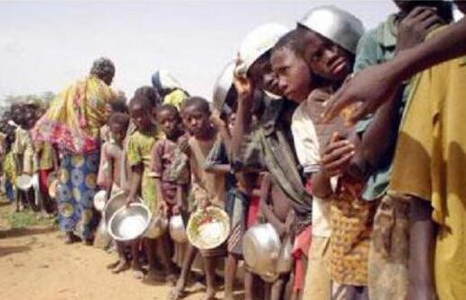 全球近6.9亿人处于饥饿状态 预计今年饥饿人数可能达到1.3亿