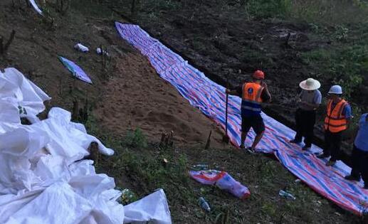 暴雨致黄梅小池长江干堤出现散浸 100余名民兵及时除险