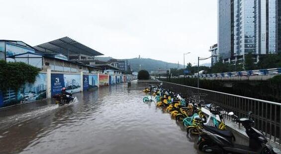 重庆气象局：全市平均降水量566.1毫米打破1961年记录