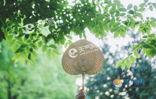 大暑是什么季节 节气大暑属于哪个季节