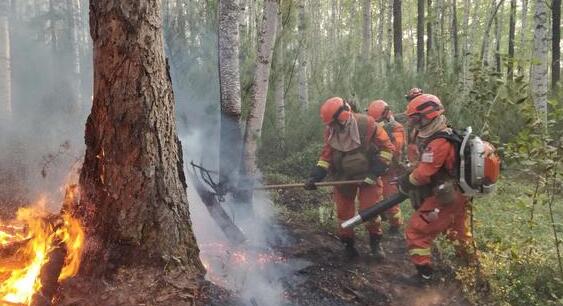 今年1-6月重庆共发生森林火灾4起 预计下半年进入高火险时段