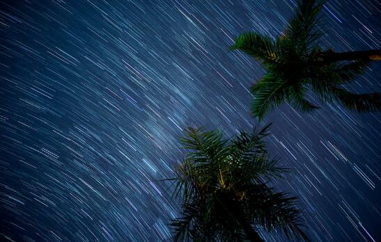 英仙座流星雨2020年几月几日几点 2020英仙座流星雨最佳观测时间表