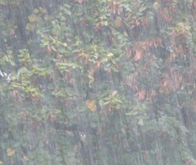 降雨量的测定方法 降雨量的测量工具有什么