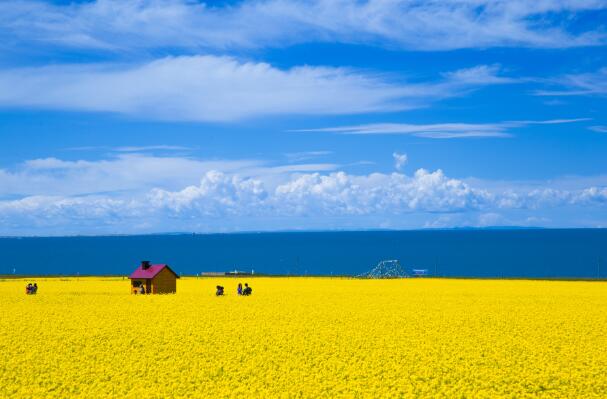 2020暑假比较凉快的旅游景点 暑期天气凉爽舒适的好去处