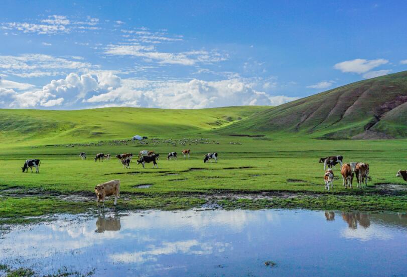 8月初去哪里旅游最好 8月上旬国内旅游气温适宜地