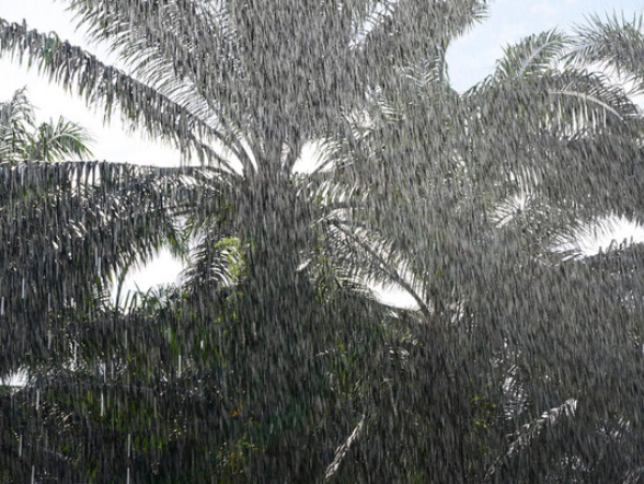 浙江西北部有局地中到大雨 午间有雷雨