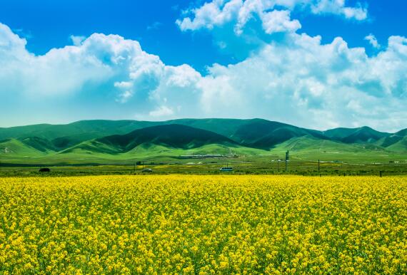 8月青海湖旅游路线 8月青海旅游攻略及花费