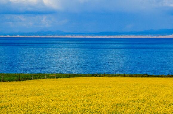 8月青海湖旅游路线 8月青海旅游攻略及花费