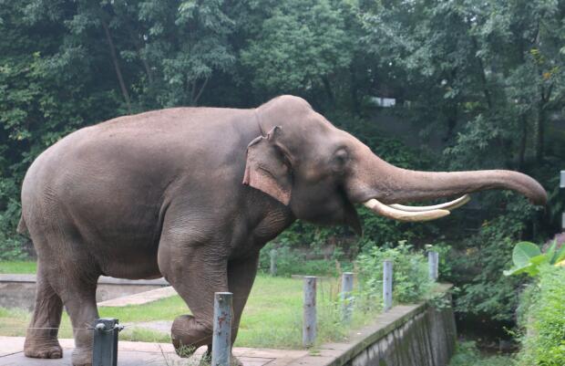 2020暑假南京哪里好玩 暑假南京适合学生游玩的地方
