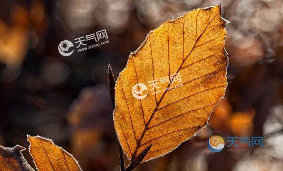 2020八月28号网综收排名_德宏股份:2020年半年度报告