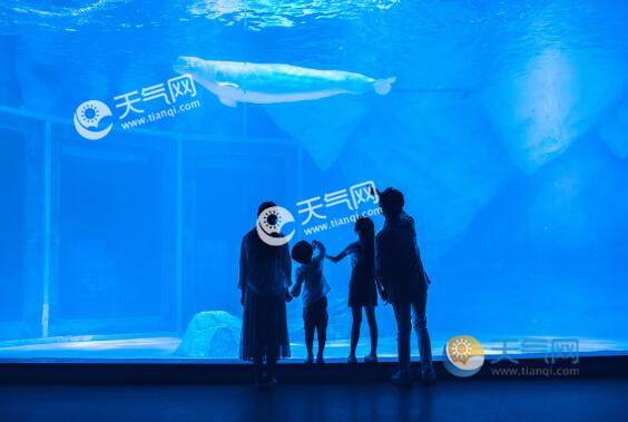 2020暑假郑州有什么好玩的地方 暑假去郑州游玩必去的地方