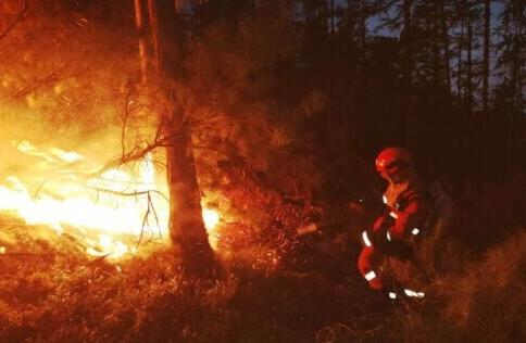 今年东莞发生森林火灾事件11起 累计过火面积52.66亩
