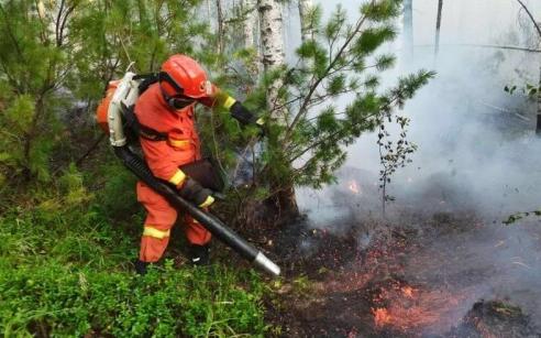 今年东莞发生森林火灾事件11起 累计过火面积52.66亩