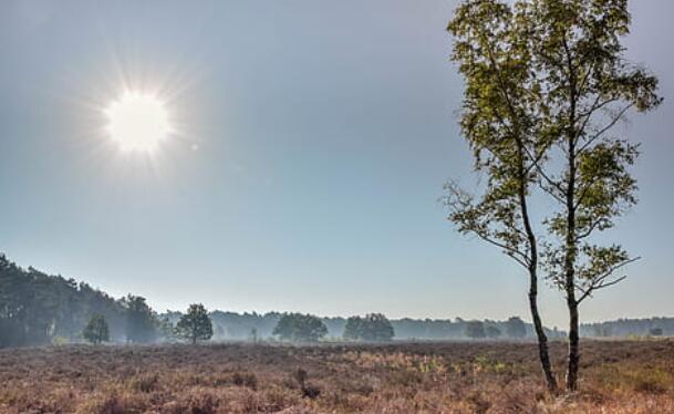 秋老虎是什么节气什么时候 秋老虎指的是几月