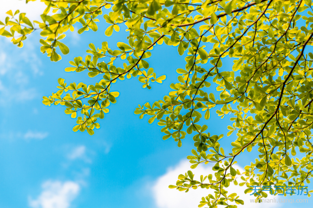 什么是庚日 一个庚日多少天