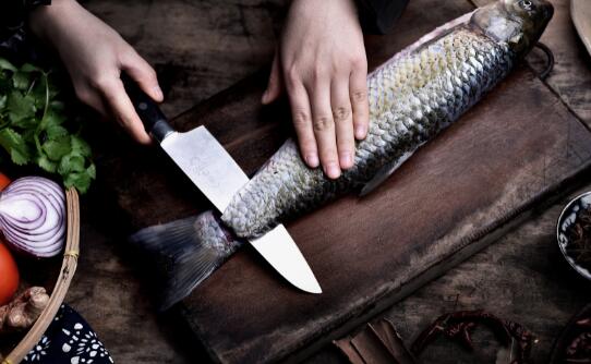 鱼胆的主要危害是是什么 不小心吃了鱼胆怎么办