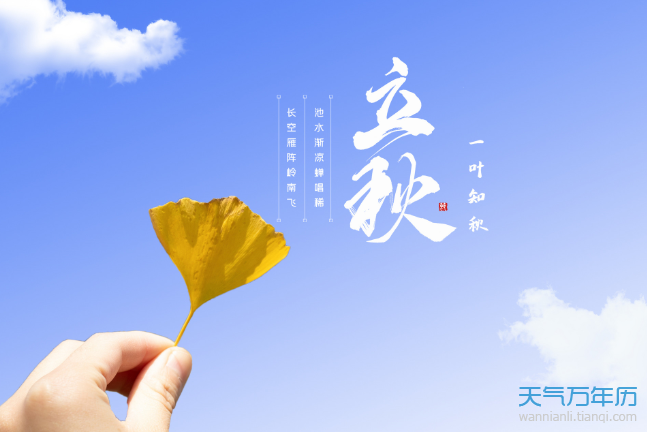 公历8月7日是什么节日年8月7日是立秋节气 万年历