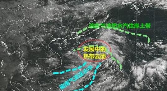 建国71年来的首次7月“空台” 8月我国将进入台风活跃期