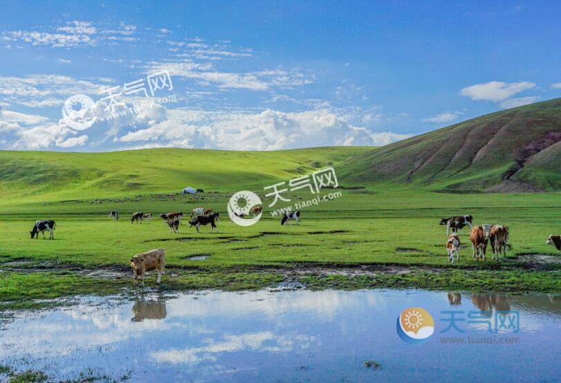 2023暑假内蒙古自由行攻略 暑假去内蒙古旅游最佳路线