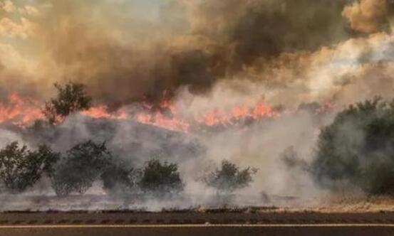 美国加州山火烧毁超60平方千米土地 7800名居民被迫紧急撤离