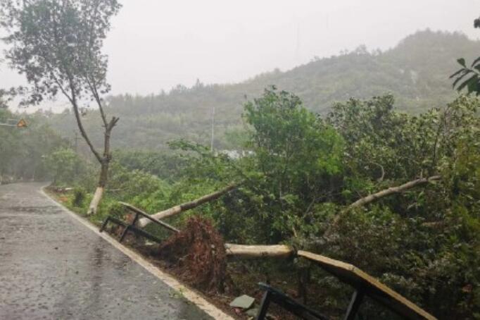 温州台风网最新消息4号台风路径 台风过境温州台州倾盆大雨