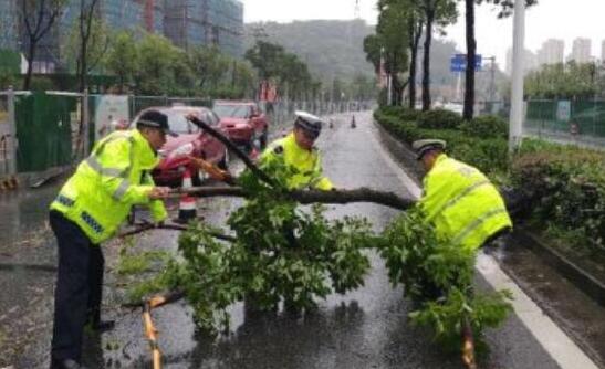 8月温州台风最新消息2020 乐清市区内涝严重+大面积停电