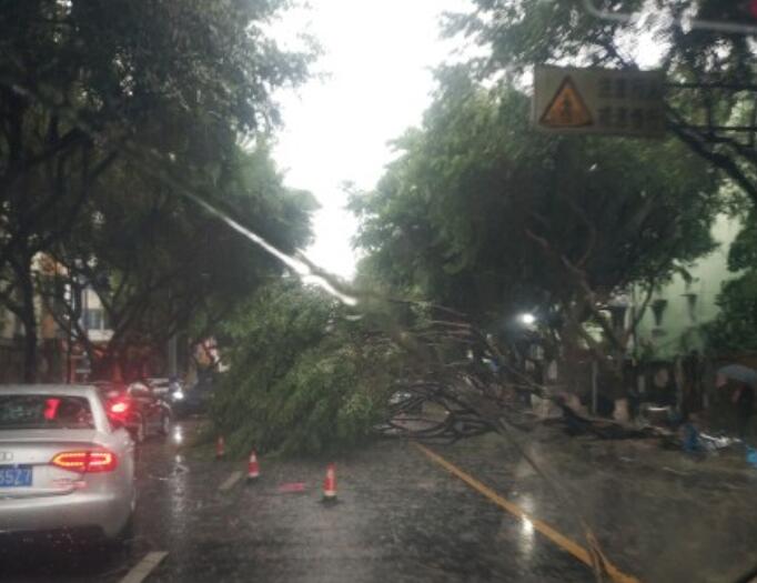 浙江台风网实时路径图4号台风 大风暴雨席卷江浙沪