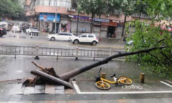 台风登陆雁荡山瀑布被吹倒流 网友:这是水往高处流啊