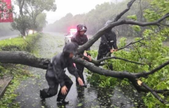 第4号台风最新消息今天 台风“黑格比”给江苏带来明显降雨