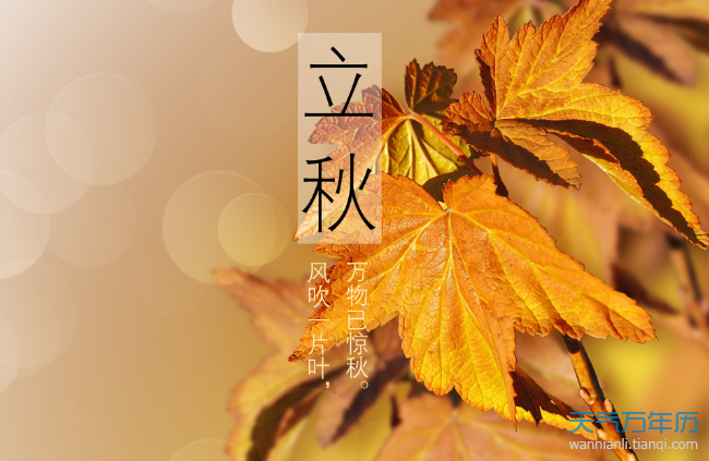 明天几点立秋2020 2020立秋是几月几日几点几分【多图】