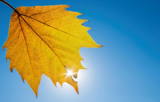 立秋时间2020几点几分 今年立秋时间准确时间