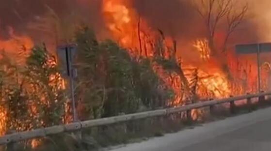 法国罗讷河口省发生森林大火 过火面积超1000公顷多所住宅被烧毁