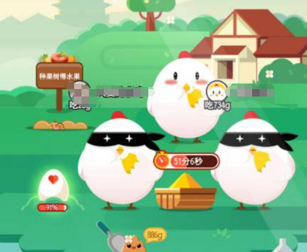 养小鸡捐的爱心蛋都去哪里了 养小鸡所捐爱心蛋最终去向