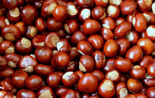 今日立秋吃什么好 2020立秋养生食物与食谱推荐