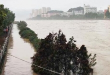 水利部:黄河出现2020年第4号洪水