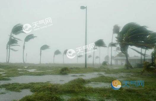 空旷的地面上和高楼之间哪里的风更大 地面和高楼哪里的风比较大