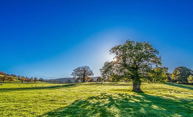 2020末伏多少天 今年末伏一共有几天