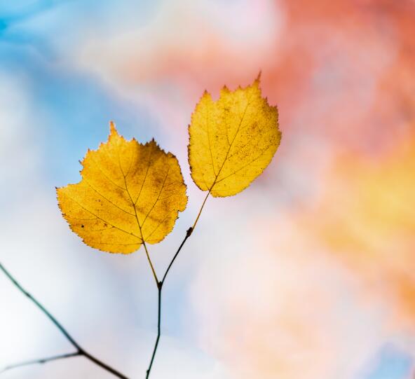 2020河北入秋时间表 一般河北入秋是什么时候