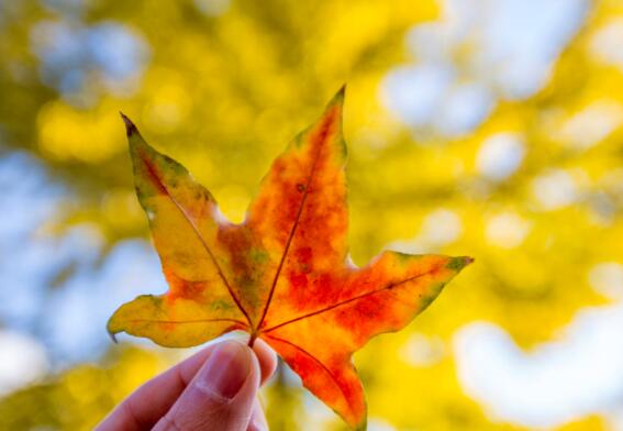 2020河北入秋时间表 一般河北入秋是什么时候