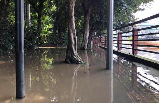 重庆洪崖洞附近商业街被淹是怎么回事 积水已没过成年人小腿